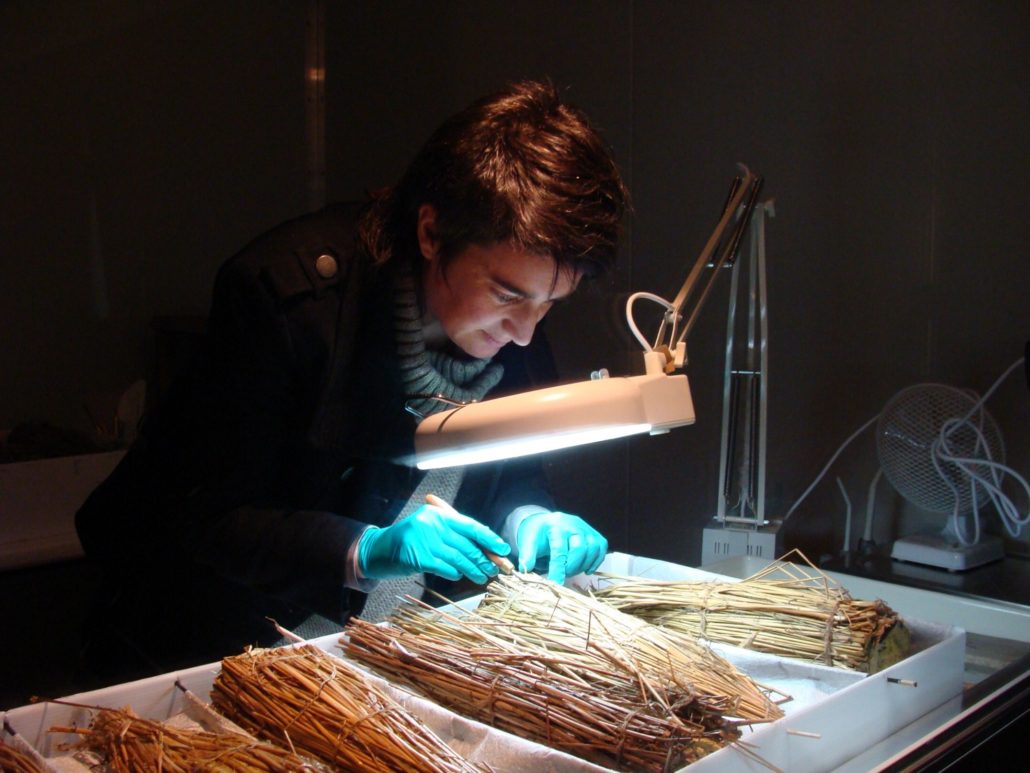 Artefact Programme Manager Lizzie Meek working on the straw bottle covers at Canterbury Museum