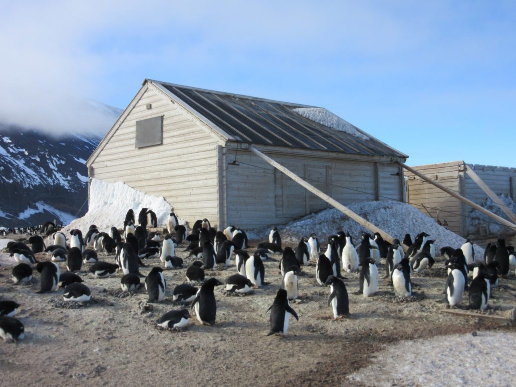 Antarctic Heritage Trust - Borchgrevink's huts