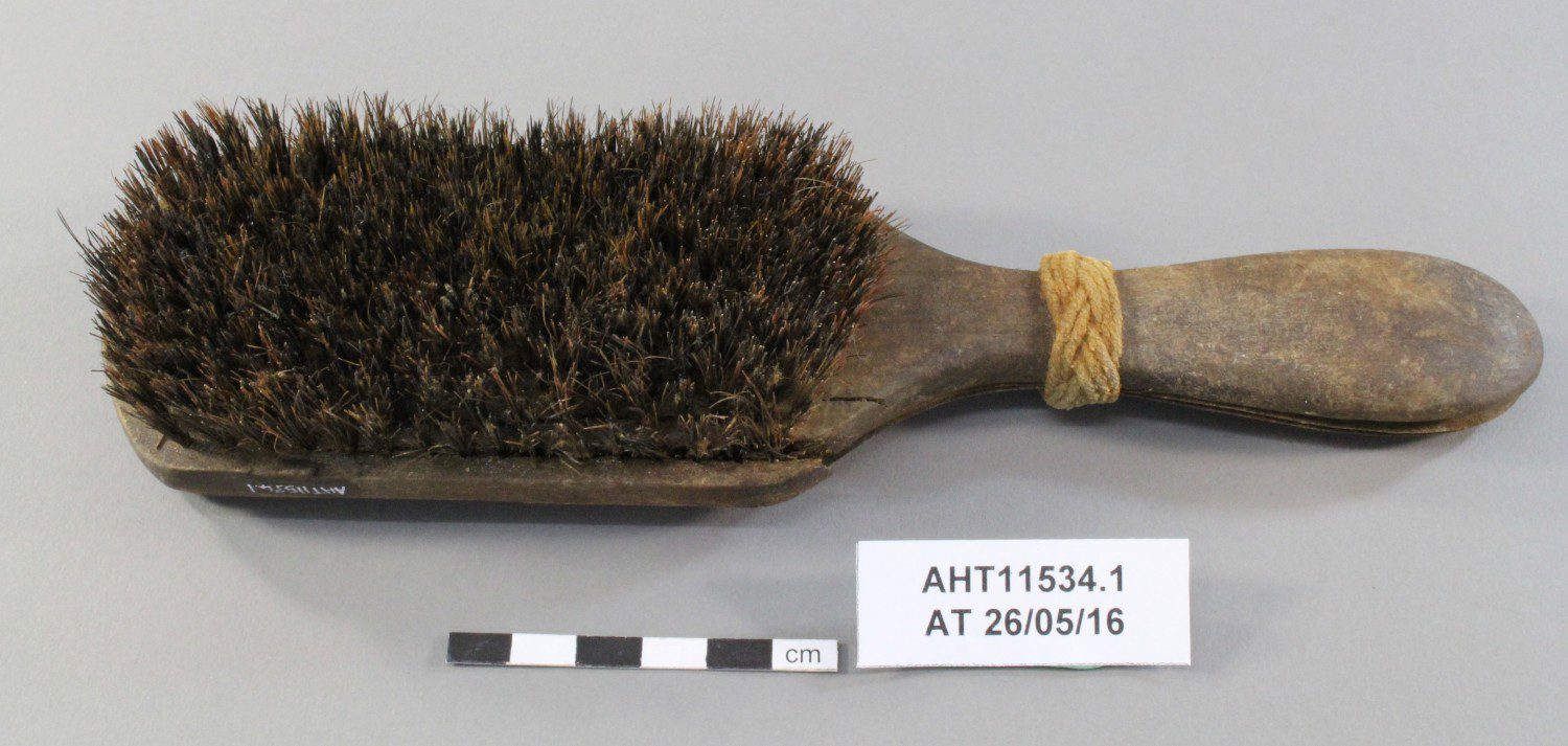 Hair or clothes brush after conservation