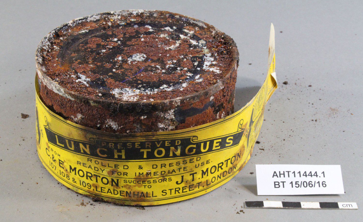 Tin of historic preserved lunch tongues, before treatment