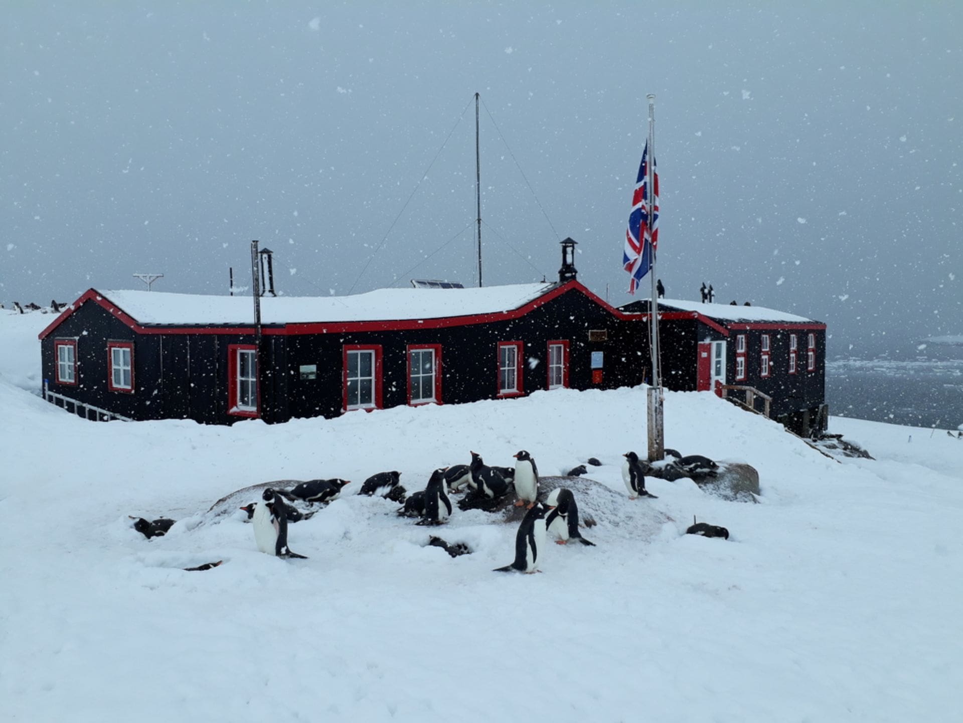 Base A at Port Lockroy in winter