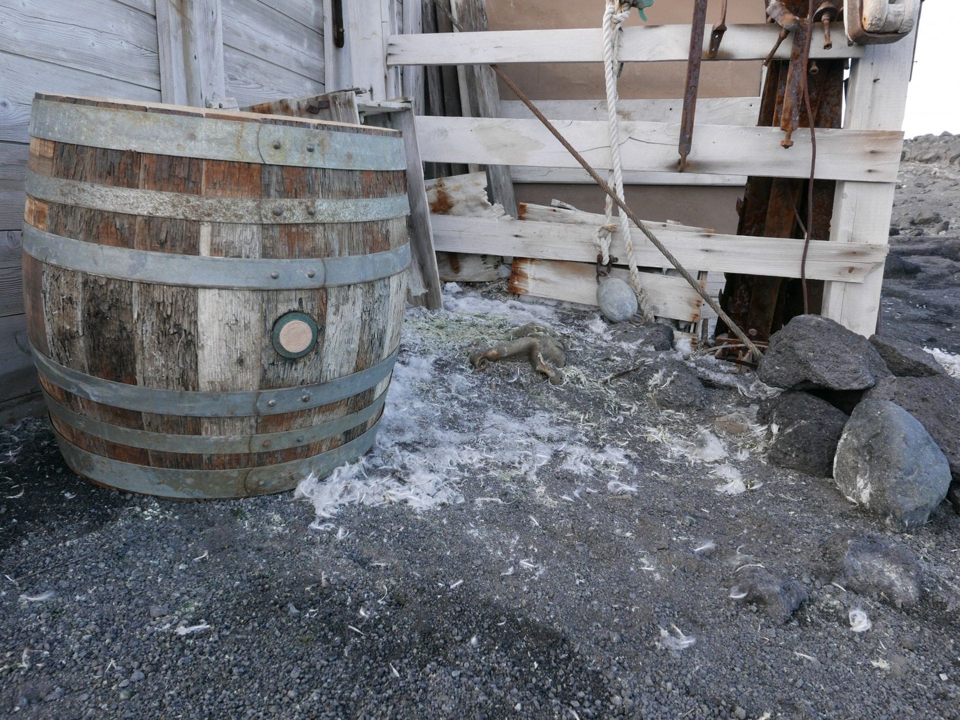 The Speight's barrel is now in position outside Shackleton's Hut.