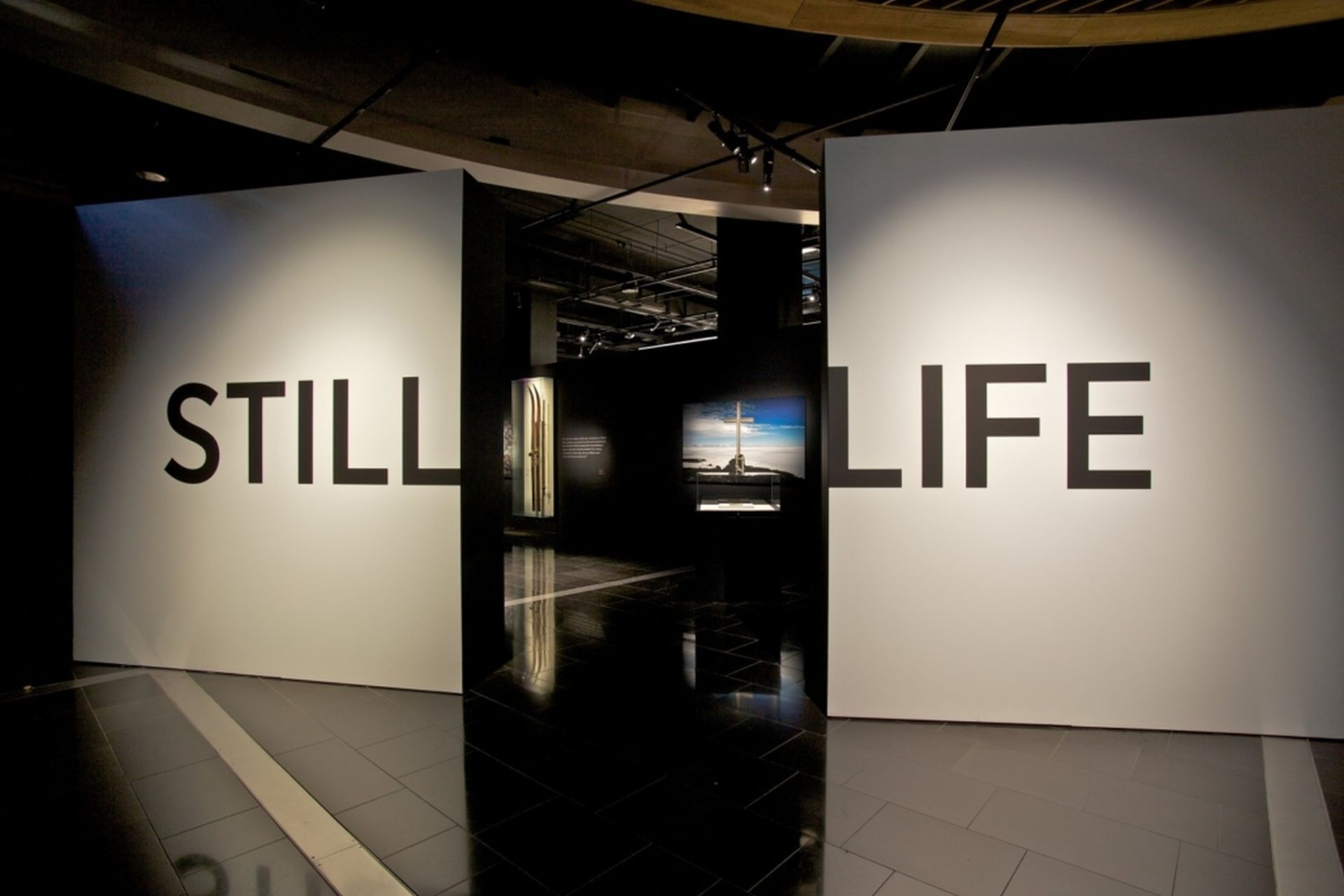 Still Life Exhibition