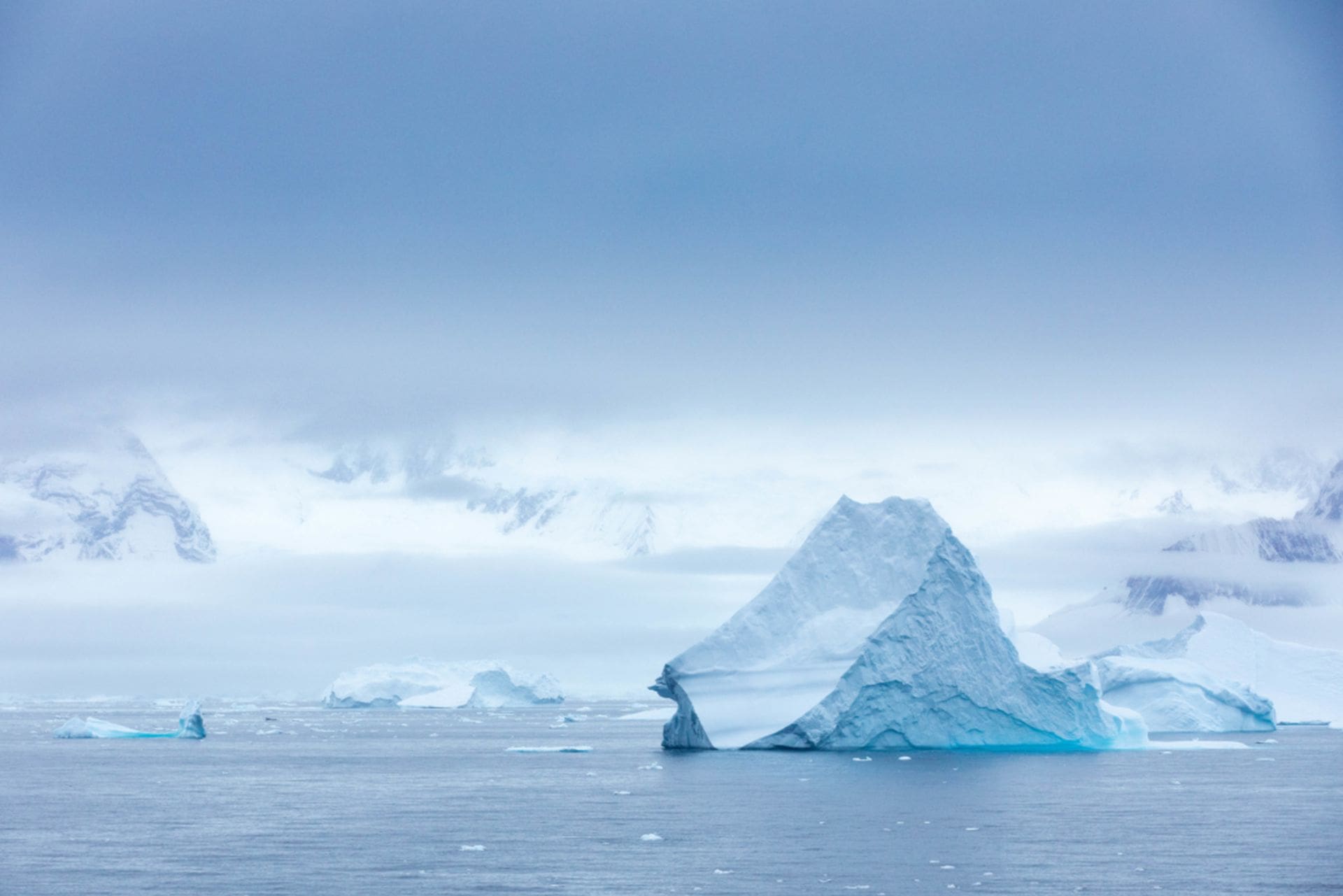 Antarctic Iceberg