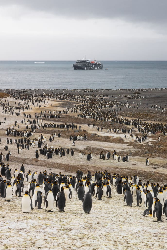 Thousands on penguins on land with a large boat in the background water.