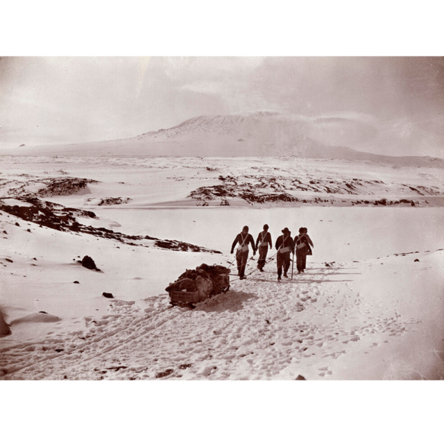 #OnThisDay in 1908, a party of six men from Shackleton's British Antarctic 'Nimrod' Expedition 1907-1909, reached the summit of Mount Erebus, on Ross Island, Antarctica, at 4,023m / 13,200-feet.

It took the climbing party six days to reach the top of the volcano and one day to descend. Despite the extreme temperatures, 'lava bombs' and billowing clouds of steam, all men were relatively unharmed, apart from Sir Phillip Brockelhurst who suffered frost-bitten toes.

During the journey, the expedition party carried out several meteorological experiments and Australian geologists Douglas Mawson and Edgeworth David, collected rock samples. This included pumice, a mineral specimen that was collected from the summit of Mount Erebus. The party returned to their base at Cape Royds on 11 March, before the onset of Antarctic winter.

📸 Members of Shackleton's 'Nimrod' Expedition with Mt Erebus in the background, Copyright unknown.

#erebus #shackleton #nimrod #mawson #inspire #explore #discover #conserve #Antarctica