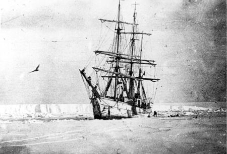 It was #OnThisDay in 1898, that the crew of the 'Belgica' began their Antarctic night, a two-month long period of darkness which lasted until 23rd July.

Often considered the first expedition of the Heroic Age of Antarctic Exploration, the Belgian Antarctic Expedition 1897-1899, under the command of Adrien de Gerlache, had set sail from Antwerp in August 1897. Failing to get into the Weddell Sea, the 'Belgica' had become trapped in the ice of the Bellingshausen Sea, and despite the best efforts of the crew, could not be freed.

The crew suffered miserably as the expedition was ill equipped without enough warm winter clothing for the men and a shortage of food. Several men showed signs of scurvy and mental illness until they began to eat penguin and seal meat which is now known to contain small amounts of Vitamin C.

Even as Spring and Summer arrived the ship was still trapped and by January 1899 the possibility of another winter in the ice loomed ahead - despite open water being visible about 800 metres away. The weakened men used explosives and various tools to create a channel and on 15 February 1899, managed to move slowly down the channel, finally clearing the ice on 14 March.

Despite the hardships experienced, the crew had managed to collect significant scientific data which included a year of meteorological observations.

Fun fact: the 'Belgica antarctica' is the name of a flightless midge, endemic to the continent and the largest purely terrestrial animal native to Antarctica - the only insect that can survive year-round in Antarctica! The first specimens were collected by the 'Belgica' expedition's biologist Emil Racoviță.

#OTD #inspire #explore #discover #conserve #antarctica

📸 Belgica, the ship of the Belgian Antarctic Expedition, ice locked in the Bellinghausen Sea, 1898. Ohio State University Library